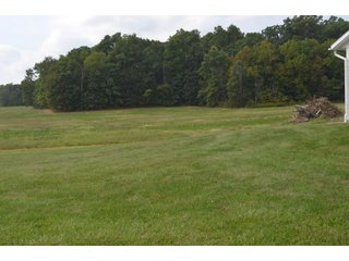 Pond in Dekalb County, Indiana - MAJOR LAND AUCTION - 516+/- ACRES OFFERED IN 18 TRACTS OR COMBINATIONS IN DEKALB COUNTY, INDIANA